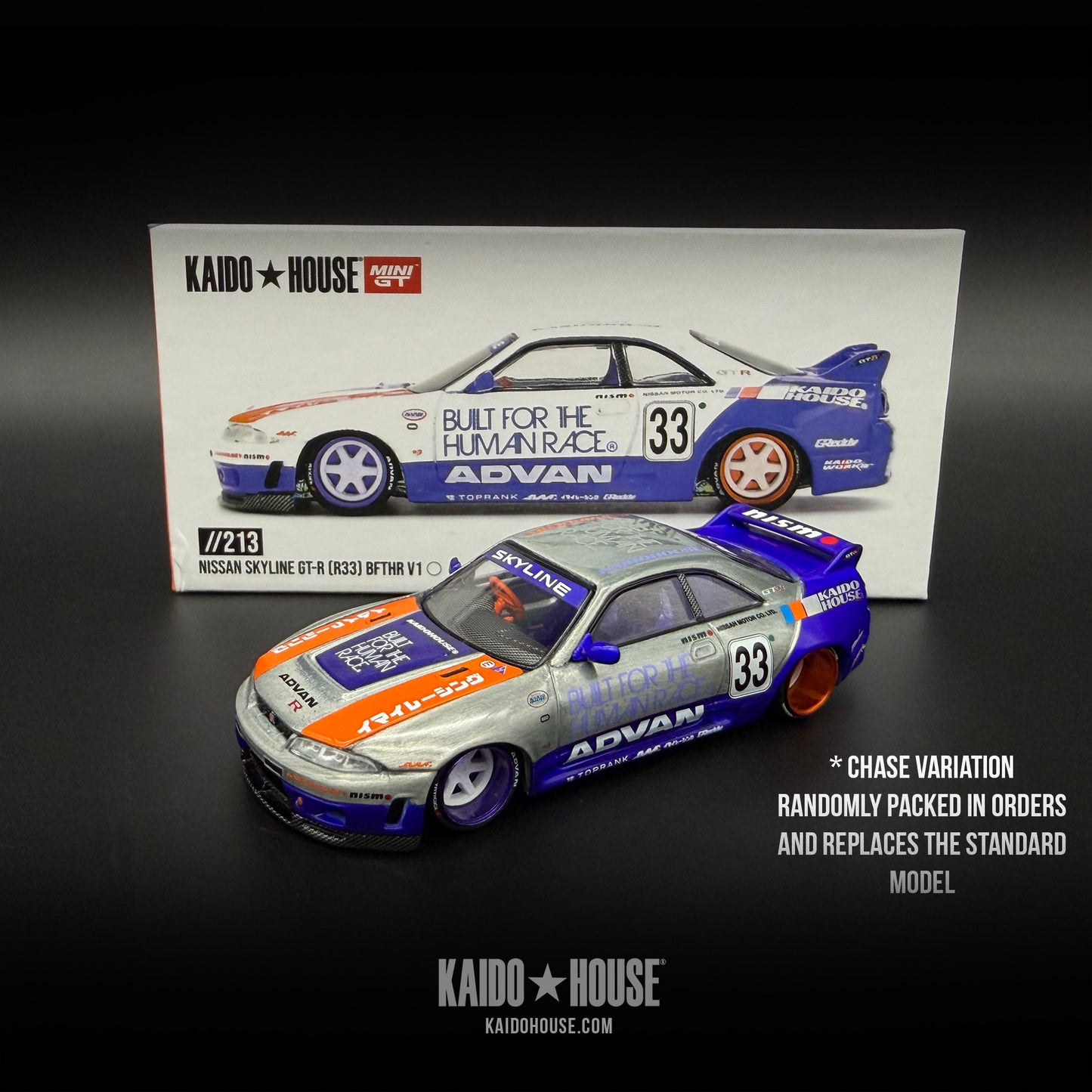 Kaido GT Nissan Skyline GT-R (R33) BFTHR V1